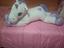 Immagine 1