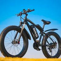 FAT-BIKE