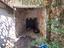Immagine 9