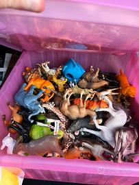 Box di animali