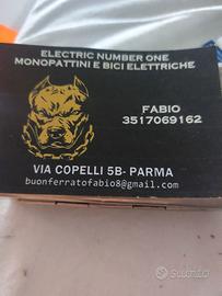 Bici e monopattino elettrici