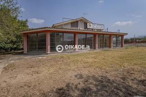 Show Room a Dolianova