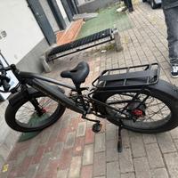 Bicicletta elettrica