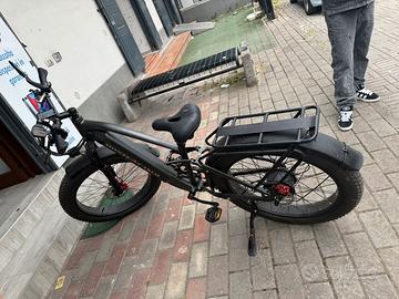 Bicicletta elettrica