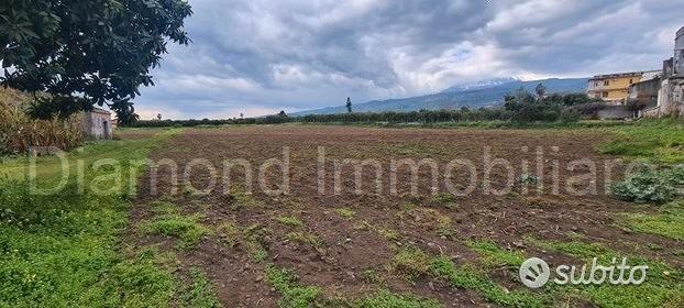 Terreno 15.000 mq con fabbricati a fiumefreddo - Vista 4