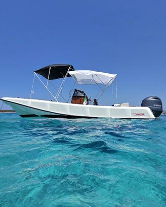 Boston Whaler 21 Ribside Refitting completo