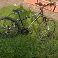 Bicicletta da ragazzo
