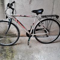 bicicletta da uomo Freyus 780