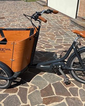 Bicicletta Babboe Curve cargo