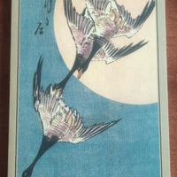 Il disegno del piviere, Yasunari Kawabata