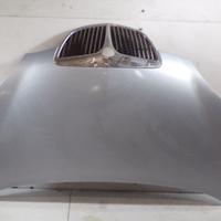 Cofano Anteriore Lancia Ypsilon 2009