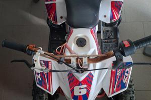 FD Motors Altro modello