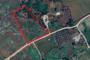 Terreno di 10042 m² a Carpignano Salentino