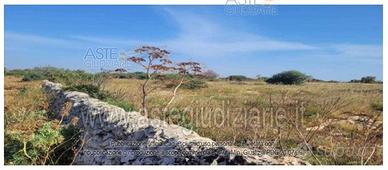 Terreno Agricolo Ispica [A4349723]