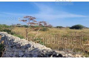Terreno Agricolo Ispica [A4349723]