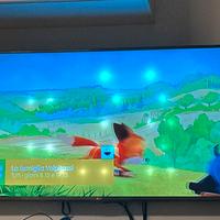 Tv LG 55 pollici