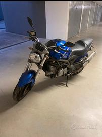 gagiva Raptor 650