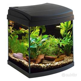 disponibile  acquari 30/40 litri