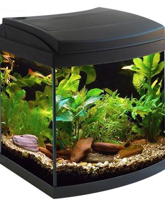 disponibile  acquari 30/40 litri