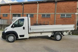 FIAT DUCATO CASSONATO ANNO KM 292344 MISURE C