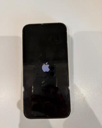 iPhone 13 pro max bianco vetro posteriore lineato
