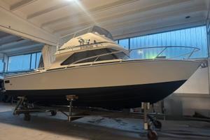 Bertram 28