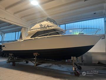 Bertram 28