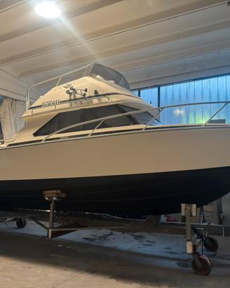 Bertram 28