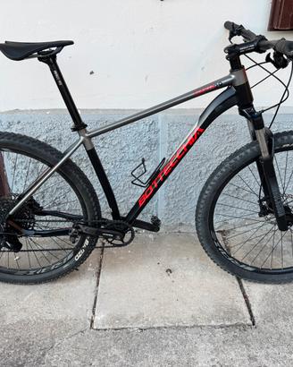 Bottecchia Gavia
