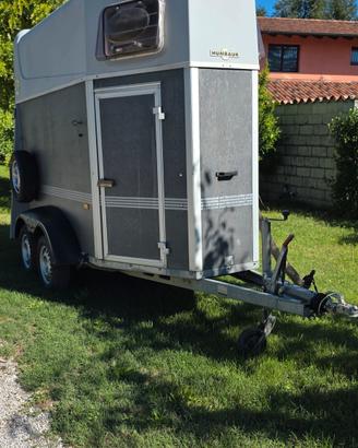 Trailer Cavalli Monoposto Humbaur Single 
