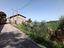 Immagine 5