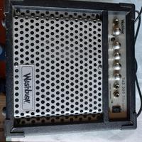 amplificatore per chitarra washburn bad dog 12