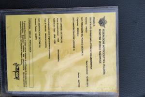 Ural 650 sidecar - 1984