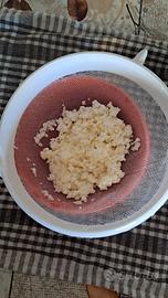 Fermenti lattici vivi per yogurt
