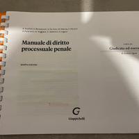 Manuale di diritto processuale penale