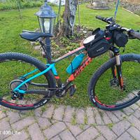 mtb Giant in carbonio