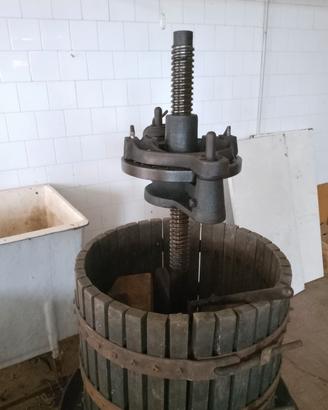 torchio per uva