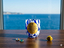 Immagine 1