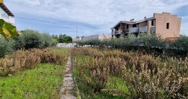 TERRENO ZONA IPER CITTA' SANT'ANGELO