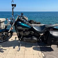 Softail Night Train con un colore raro