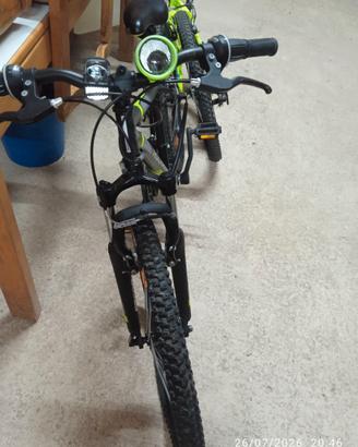 Bicicletta
