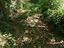 Immagine 26
