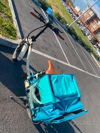 Bicicletta elettrica