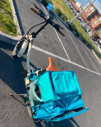 Bicicletta elettrica