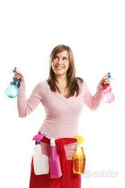 Badante colf pulizie e stiraggio a ore