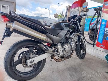 honda Hornet 600