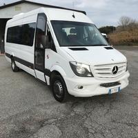 Minibus Mercedes Sprinter 519