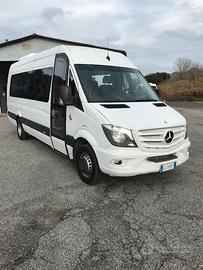 Minibus Mercedes Sprinter 519