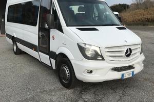 Minibus Mercedes Sprinter 519