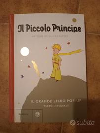 il piccolo principe 